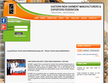 Tablet Screenshot of eigmef.com